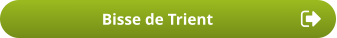 Bisse de Trient